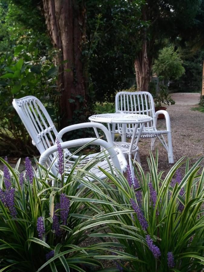 B&B Il Cortile Malpensa Casorate Sempione Exterior photo